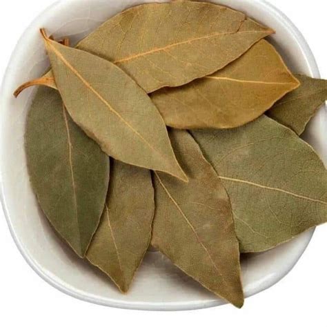 Bay Leaf .